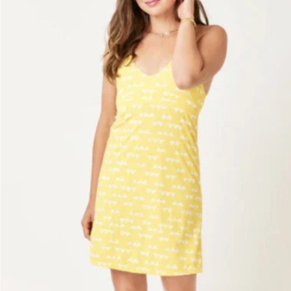 NWT Carve Designs La Jolla Dress Cascade